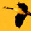 Being the Lead Goose