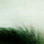 Oeil